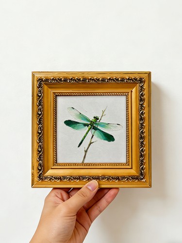 Libelle natur insekt - libelle,