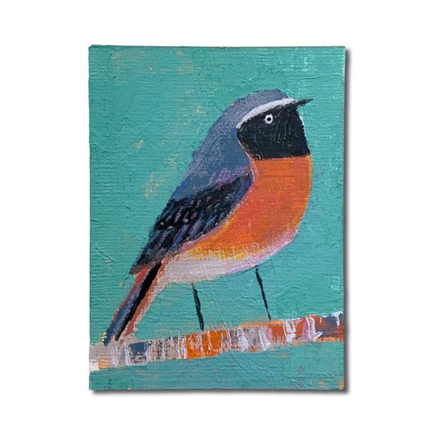 Redstart aceo original - aceo,