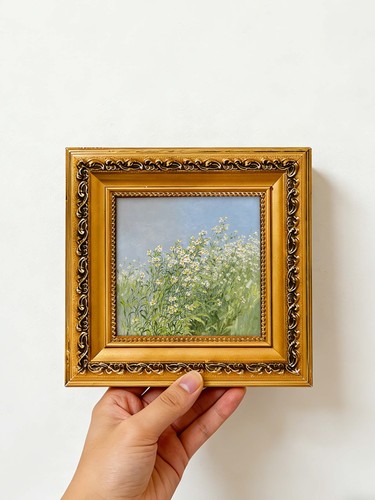 Wildes gänseblümchen weiße - gänseblümchen,