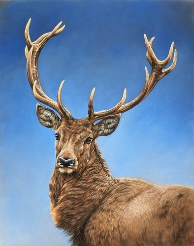 Original kunstwerk - original,