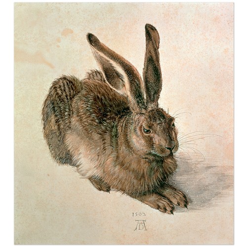Albrecht dürer junger - dürer,,