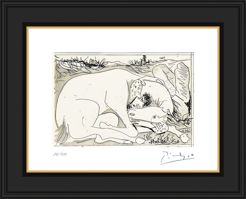 Picasso suenos mentiras de - suenos,