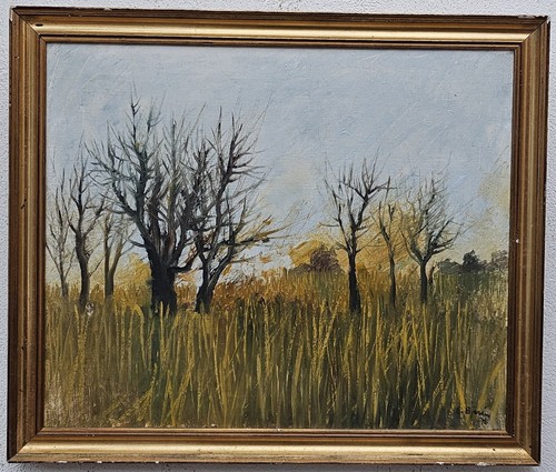 1325 wunderschönes - nr.:1325,