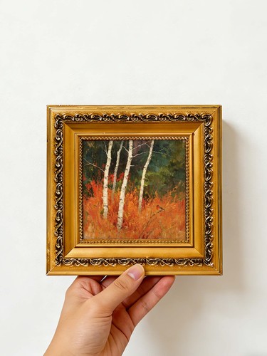 Herbst birke wald rotkehlchen - herbst,