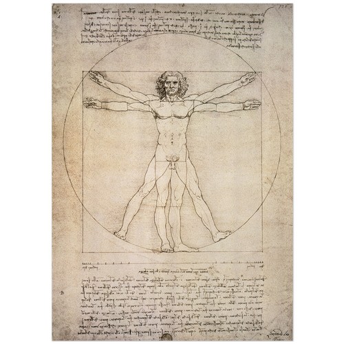 Leonardo vinci - da,